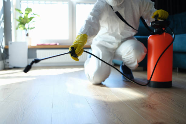 Reliable Odor Removal contractor in Covington, GA by Trauma Clean Pros
